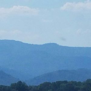 Meet your Posher, Brittney